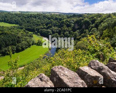 Blick entlang Wye Valley von Symonds Yat Rock ViewPoint Gloucestershire England UK an einem sonnigen Juli Tag Stockfoto