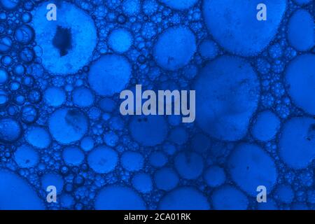 Nahaufnahme schöne abstrakte blaue Blasen im Wasser extrem. Abstrakte Natur pattrn für Design. Stockfoto