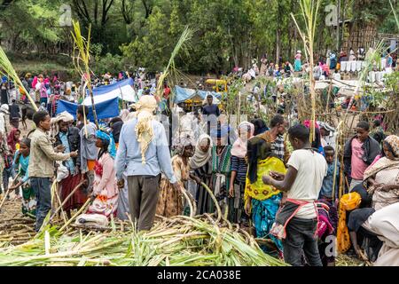 Menschen auf dem lokalen Markt, Wollo Provinz, Amhara Region, Äthiopien, Afrika Stockfoto