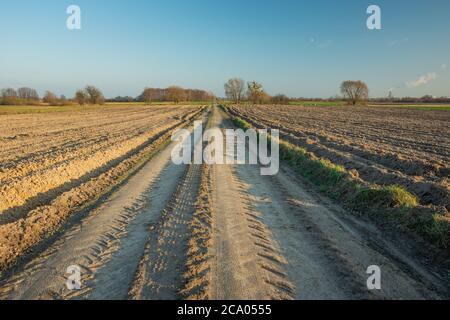 Ein Feldweg durch gepflügte Felder, Horizont und wolkenlosen Himmel Stockfoto