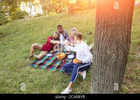 Gemischte Rennfreunde im Park machen ein Picknick auf der lown im Park. Stockfoto