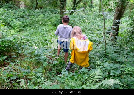 Kinder Kinder nach hinten schauen auf den Landurlaub, nachdem sie draußen im grünen Wald Carmarthenshire Wales UK KATHY DEWITT gespielt haben Stockfoto