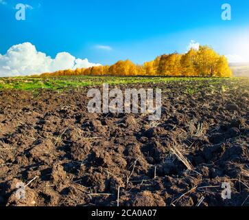 Frisch gepflügte Farm Feld auf einem blauen Himmel Hintergrund Stockfoto