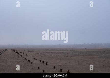 Getrockneter Grund eines Salzsees an einem nebligen Morgen. Reste eines alten hölzernen Pier. Baumstämme ragen aus dem Sand. Stockfoto