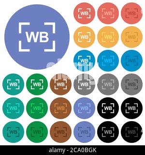 Einstellung des Weißabgleichs der Kamera für mehrfarbige flache Symbole auf runden Hintergründen. Inklusive weißer, heller und dunkler Symbolvarianten für den Hover- und aktiven Status Stock Vektor