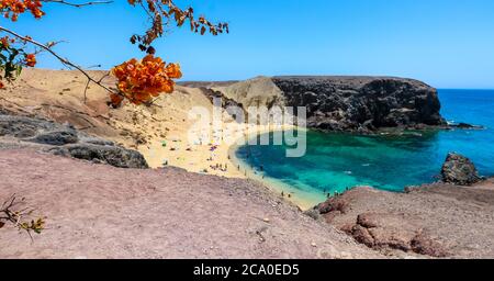 Orange Bougainvillea Blumen am berühmten Papagayo Strand (Playa Papagayo) und dem Atlantik in Costa Blanca, Yaiza, Lanzarote, Kanarische Inseln, Spanien. Stockfoto