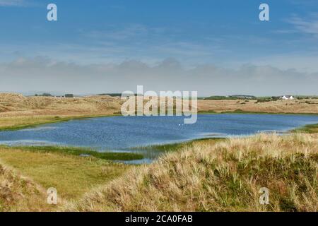 FORVIE SANDS NATIONAL NATURE RESERVE COLLIESTON SCHOTTLAND SÜSSWASSER LOCH IN DER HEIDE Stockfoto