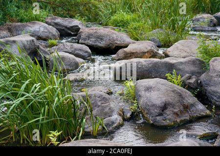 Ein schöner Gebirgsbach fließt zwischen Steinen und Felsen Stockfoto