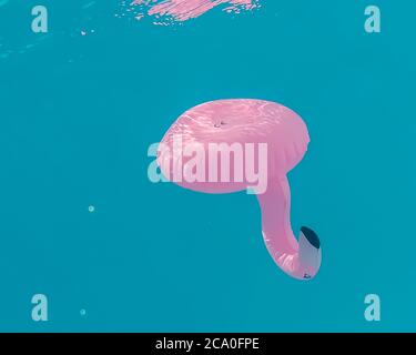 Aufblasbarer pinker Flamingodosenträger mit CE-Zeichen schwimmt kopfüber in türkisfarbenem Wasser, mit Reflexen sichtbar auf der Oberfläche. Stockfoto