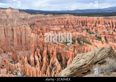 Am späten Nachmittag taucht das Sonnenlicht surrealistische Landformen im Bryce Canyon National ein Park in Utah Stockfoto