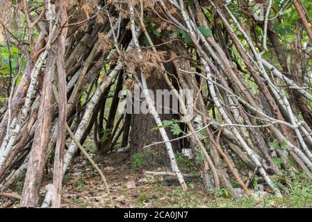 Hütte aus Ästen im Wald Stockfoto