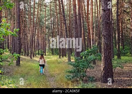 Junge Frau auf dem Fahrrad im Kiefernwald Stockfoto