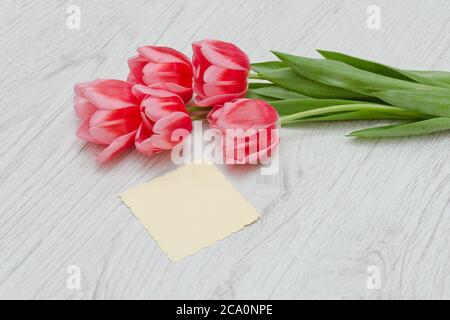 Saubere Karte, rosa Tulpen. Heller Holzhintergrund. Draufsicht. Leerzeichen für Text Stockfoto