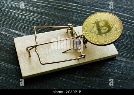 Mausefalle und Bitcoin Münze. Kryptowährung Betrug oder Betrug Konzept. Stockfoto