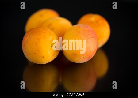 Kleine Handvoll reife Aprikosen isoliert auf schwarzem Hintergrund Stockfoto