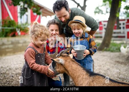 Porträt der Familie mit kleinen Kindern auf dem Bauernhof stehen, geben Wasser auf Ziege. Stockfoto