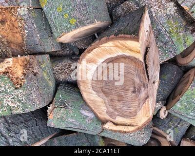 Haufen von gehacktem Brennholz für den Winter vorbereitet Stockfoto