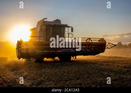 Abendliche Ernte mit einem Mähdrescher Stockfoto