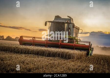 Ernte der Erntegutes Stockfoto