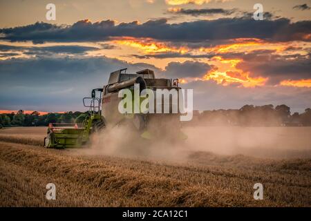 Harvester bei Sonnenuntergang Stockfoto