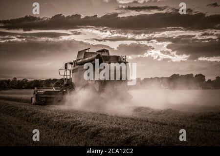Schwarz-Weiß kombinieren Harvester bei Sonnenuntergang Stockfoto