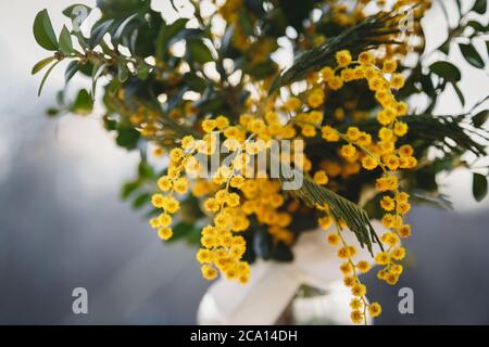 Frische gelbe Mimosenblüten Bouquet im Abendlicht im Freien. Blumenstrauß Stockfoto