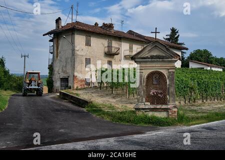 Ländliche Szene - der Bauer geht mit seinem Traktor in die Weinberge. Im Vordergrund ein typisch einfacher italienischer Votivnewsstand mit frischen Blumen Stockfoto