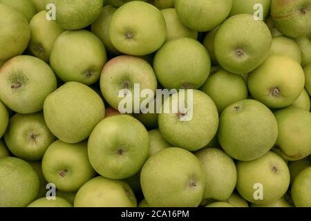 Hintergrund von grünen Äpfeln auf dem lokalen Markt zu verkaufen Stockfoto