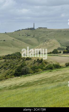 Blick vom Morgans Hill auf das Lansdowne Monument auf Cherhill Down mit Calstone Down im Vordergrund,Wiltshire.UK Stockfoto