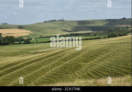 Blick vom Morgans Hill auf das Lansdowne Monument auf Cherhill Down mit Calstone Down im Vordergrund,Wiltshire.UK Stockfoto