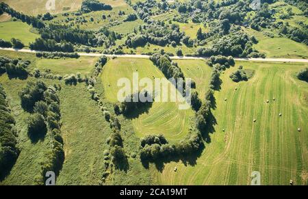 Y-Buchstabe Waldform in Feldantenne über Draufsicht Stockfoto