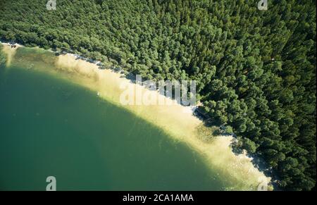 Weißer Sandstrand am Waldufer Luftdrohne Ansicht Stockfoto