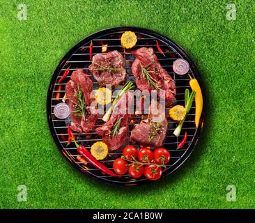 Blick von oben auf die frisches Fleisch und Gemüse vom Grill auf Gras gelegt. Grill, Grill und Essen Konzept Stockfoto