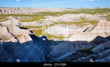 Badlands-Nationalpark in Bloom (Gelbklee) Stockfoto