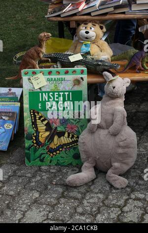 Castel San Pietro, Kanton Tessin (TI)/ Schweiz - September 28 2013: Kleiner Flohmarkt im Dorf Castel San Pietro, Tessin, Schweiz Stockfoto