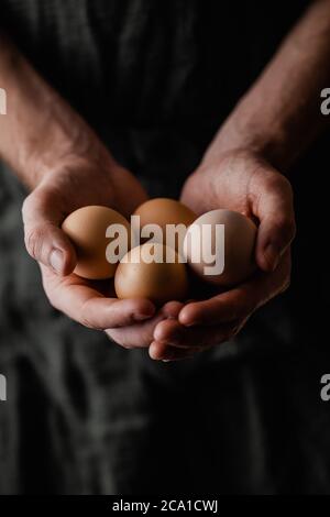 Frische Bio-Eier auf den Händen von Junglandwirten Stockfoto