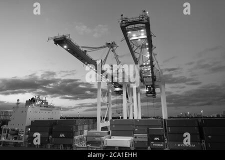 Miami, USA - 01. März 2016: Container im Frachthafen. Container und Kräne beleuchtet in der Dämmerung. Containerschiff. Container-Service. Stockfoto