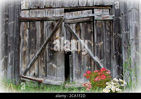Eine alte Scheunentür in Solvorn, Norwegen Stockfoto