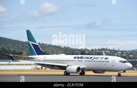 Sidney, British Columbia, Kanada 03. Aug. 2020 - EINE Westjet Boeing 737-800 Düsentaxis über die Start- und Landebahn nach der Landung am Victoria International Airport Don Denton/Alamy Live News Stockfoto