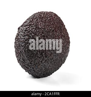 Einzelne reife dunkelbraun (bilse Sorte) Avocado isoliert auf weißem Hintergrund Stockfoto