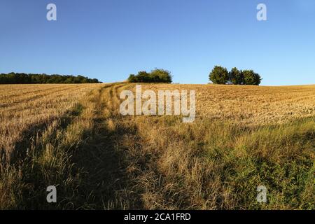Geerntete Weizenfelder und eine Straße bei Sonnenuntergang Stockfoto