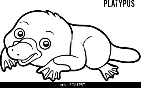 Bild für Kinder, Platypus Stock Vektor