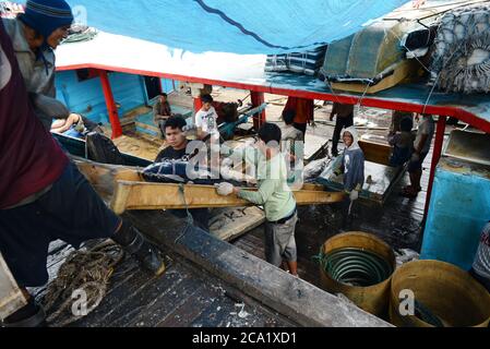 Ausladen von Fischen aus dem Boot, Benoa, Bali Stockfoto