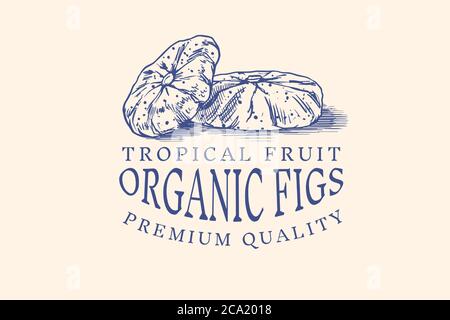 Frisches Feigenabzeichen. Etikett oder Logo für getrocknete Früchte. Stücke schneiden. Detox Gewürz. Vektor graviert handgezeichnete Skizze für Stempel, T-Shirt oder Typografie oder Stock Vektor