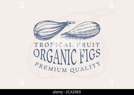 Frisches Feigenabzeichen. Fruit Foliage Etikett oder Logo. Stücke schneiden. Detox Gewürz. Vektor gravierte handgezeichnete Skizze für Stempel, T-Shirt oder Typografie oder Menü. Stock Vektor