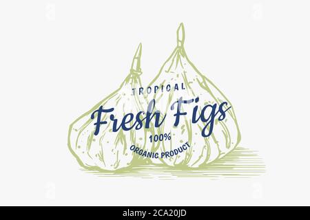 Frisches Feigenabzeichen. Etikett oder Logo für getrocknete Früchte. Detox Gewürz. Vektor gravierte handgezeichnete Skizze für Stempel, T-Shirt oder Typografie oder Menü. Stock Vektor