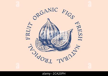 Frisches Feigenabzeichen. Fruit Foliage Etikett oder Logo. Stücke schneiden. Detox Gewürz. Vektor gravierte handgezeichnete Skizze für Stempel, T-Shirt oder Typografie oder Menü. Stock Vektor