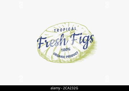Frisches Feigenabzeichen. Etikett oder Logo für getrocknete Früchte. Detox Gewürz. Vektor gravierte handgezeichnete Skizze für Stempel, T-Shirt oder Typografie oder Menü. Stock Vektor