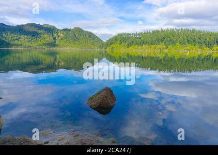 Blick über den ruhigen Blue Lake zu Farnen und Bäumen auf der anderen Seite mit Himmel und Seeufer, die sich in ruhigem Wasser, Rotorua Neuseeland, widerspiegeln. Stockfoto