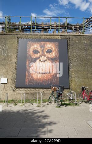 W4th Plinth, Penny the Orangutan von David Kimpton und Richard Lawton, Turnham Green, London, UK Stockfoto